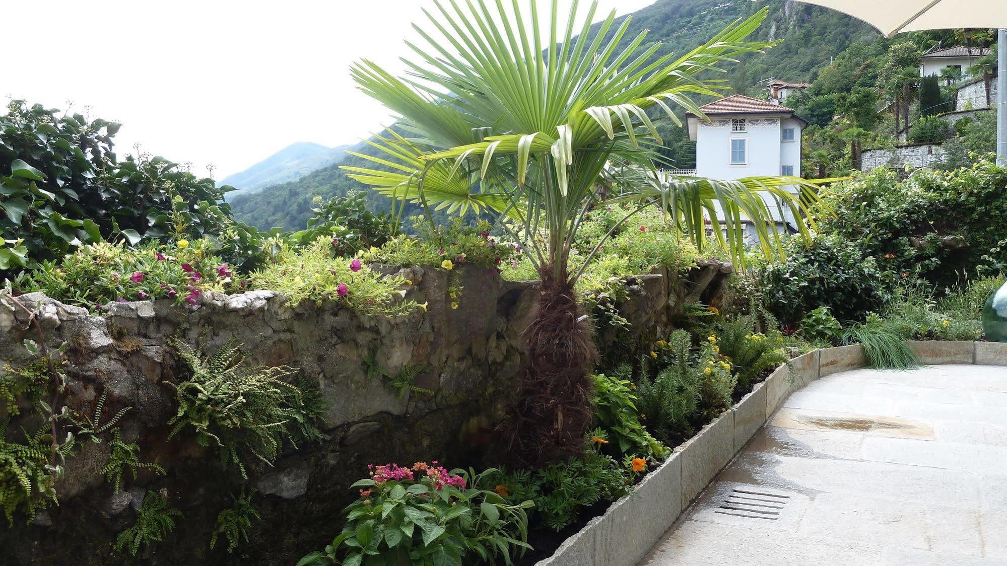 B&B Casa Forster Cannero Riviera Exterior photo